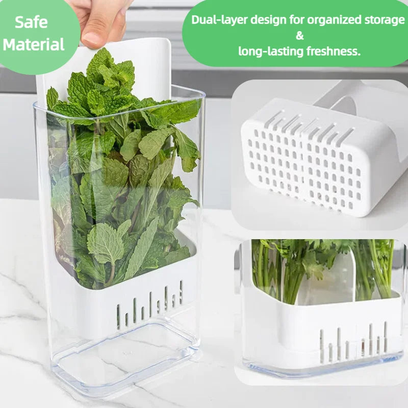 Herb Vegetable Hydroponic Preservation Container Refrigerator Storage Box Vegetable Fresh Keeper Kitchen Utensils