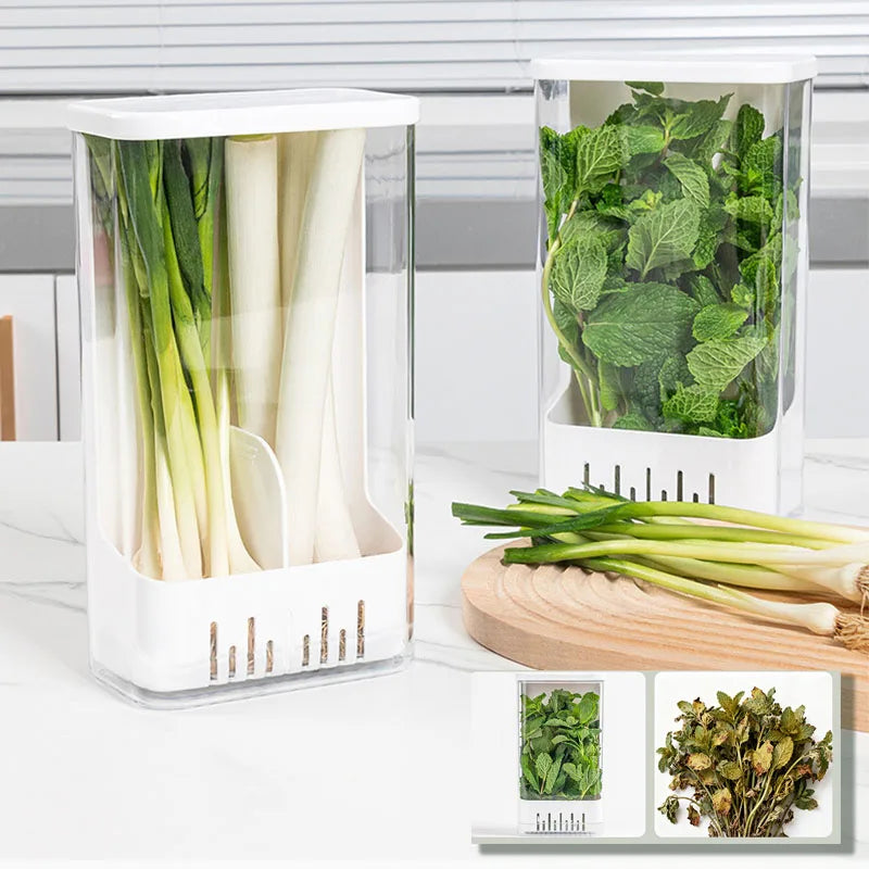 Herb Vegetable Hydroponic Preservation Container Refrigerator Storage Box Vegetable Fresh Keeper Kitchen Utensils