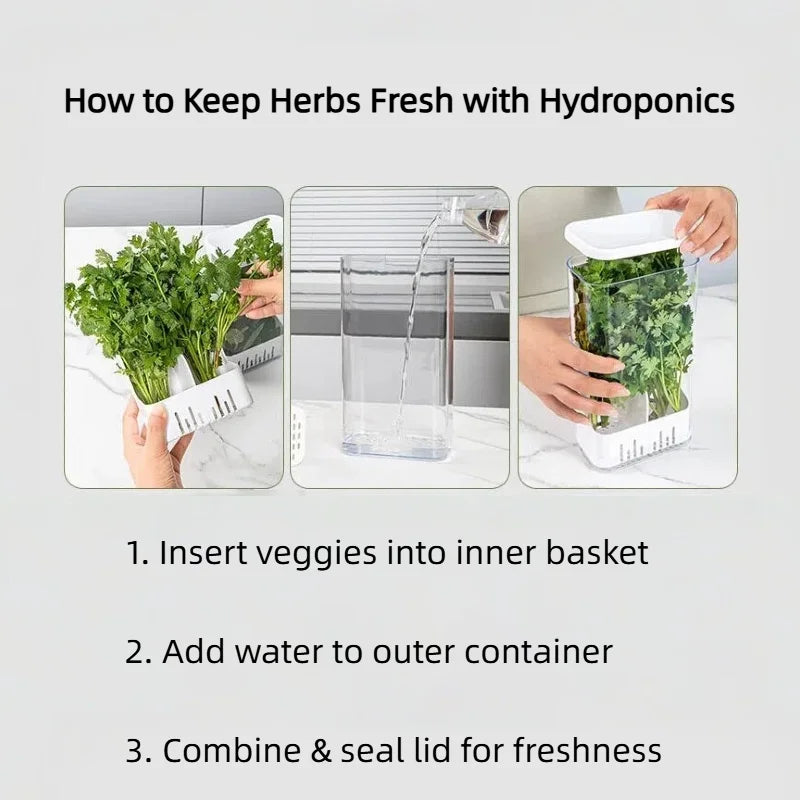 Herb Vegetable Hydroponic Preservation Container Refrigerator Storage Box Vegetable Fresh Keeper Kitchen Utensils